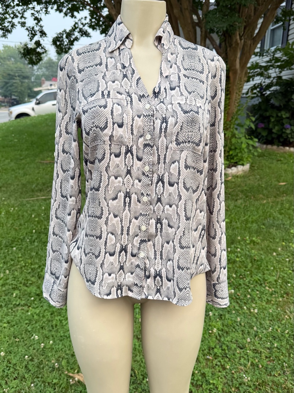 Express Snake Print Button-Front Blouse in Gray and White
